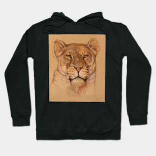 Portrait of a Lioness Hoodie